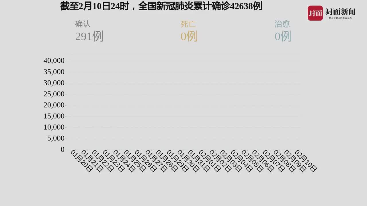 新型冠肺炎最新报告，全球疫情的最新进展与挑战