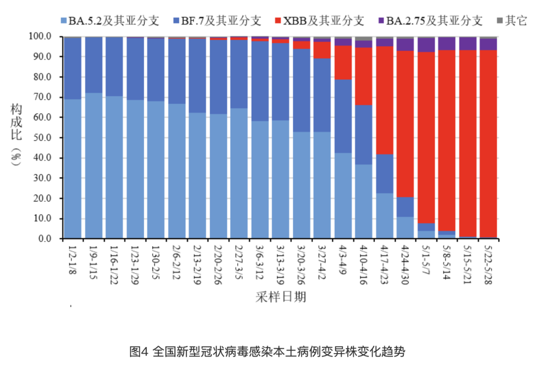 新冠病毒最新感染情况分析