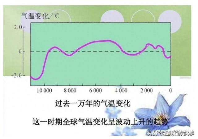 入冬最新消息，气候变迁与冬季生活的深度解读