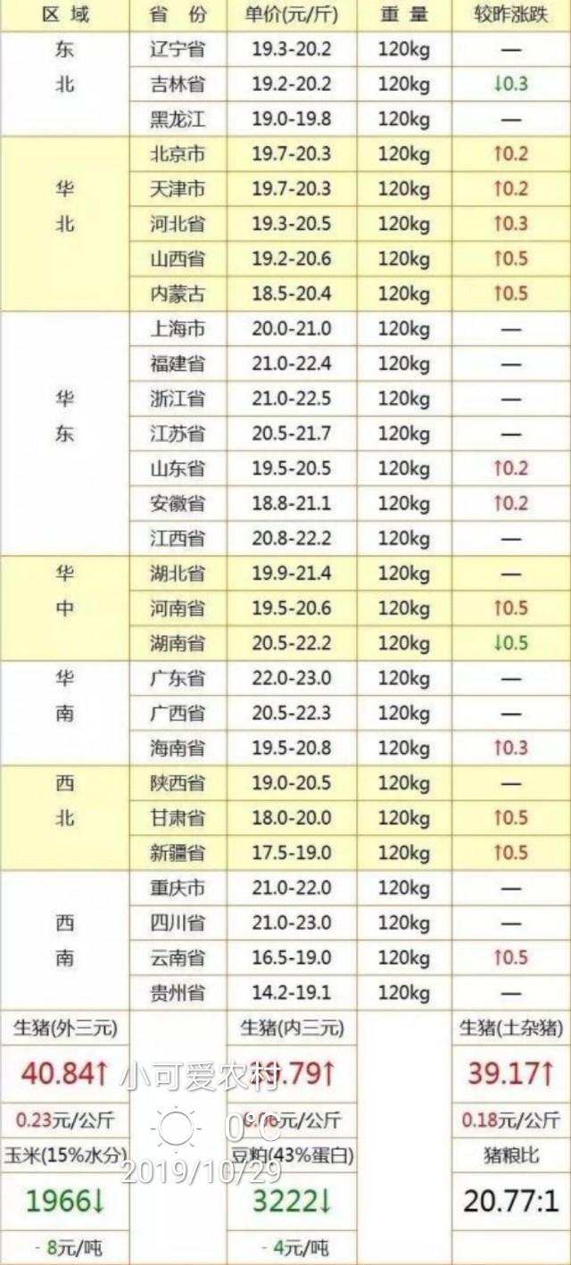 今日猪价格最新走势分析