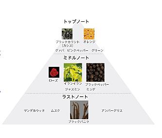 Pola防晒最新版，守护肌肤的全新力量