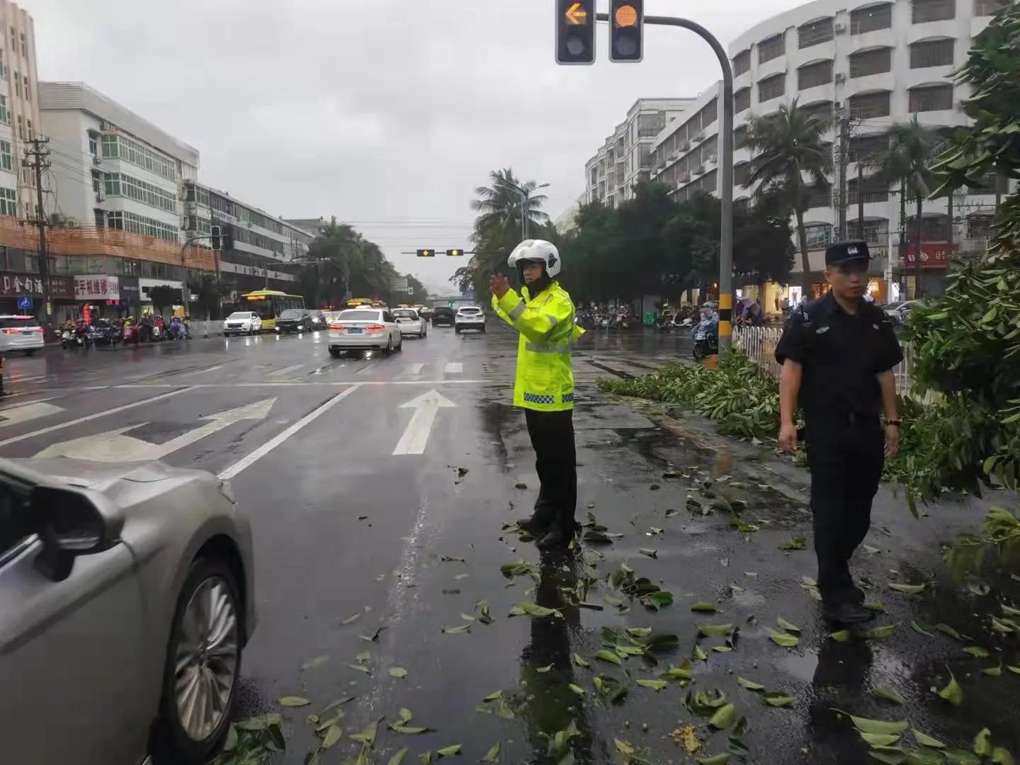 海口台风最新预警信号——风雨中的守护与准备