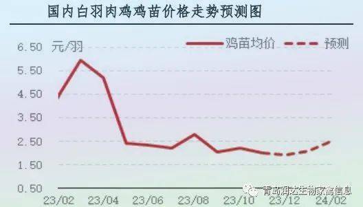 鸡价格最新行情今日——市场动态与深度解析